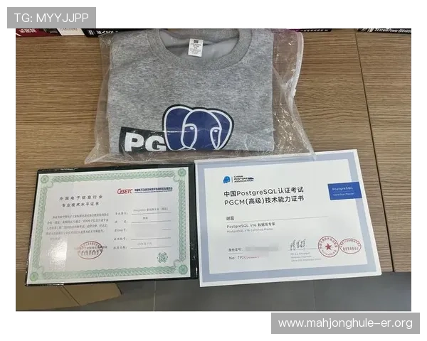 电子pg平台官方网站2024年最新版本上线详细功能介绍与用户操作指南